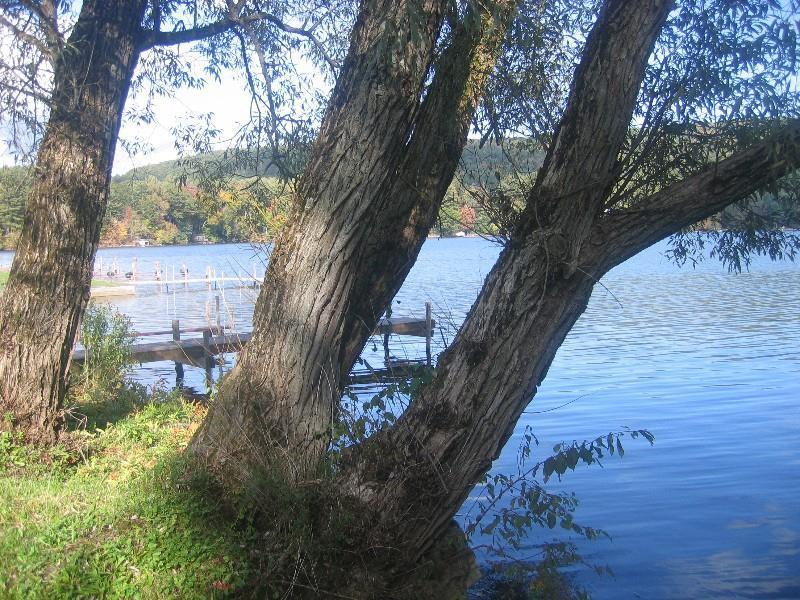 Red Carpet Inn On The Lake - Oneonta Εξωτερικό φωτογραφία
